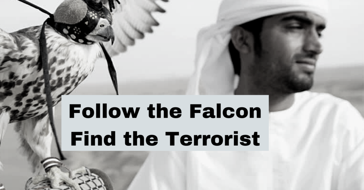 JUST RELEASED TODAY BY WHISTLEBOWER: Documentary Film on the Hunt for Usama bin Laden the Falconer